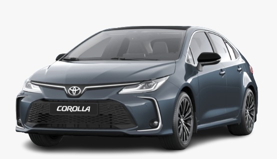 WhatsApp Image 2025-11-08 at 1.25.49 PM